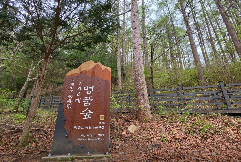 덕유산자연휴양림 대표 이미지