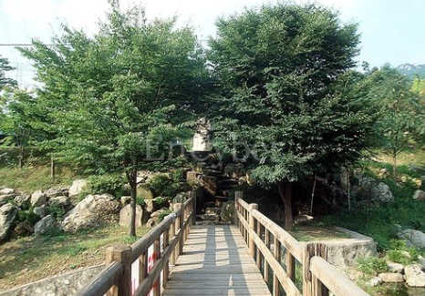 장령산자연휴양림 대표 이미지