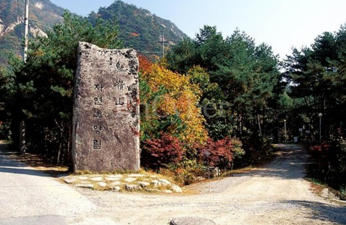 조령산자연휴양림 대표 이미지