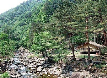 미천골자연휴양림 대표 이미지
