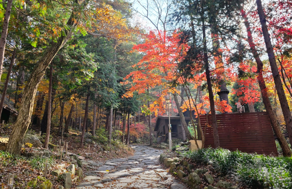 성주산자연휴양림 대표 이미지