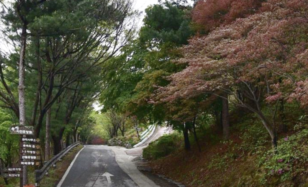 송정자연휴양림 대표 이미지