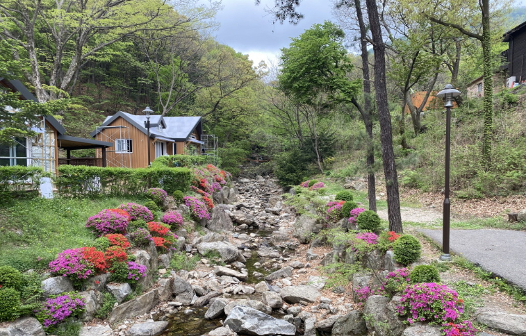 용인자연휴양림 대표 이미지